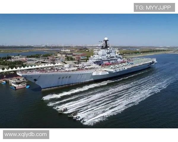 韩国7号足球明星的辉煌历程与未来展望解析